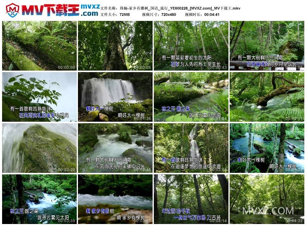 周楠-家乡有棵树_国语_流行_YE600228